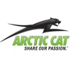 arctic cat
